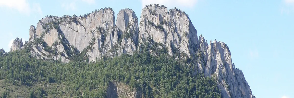 Image Monte escalier Buis-les-Baronnies