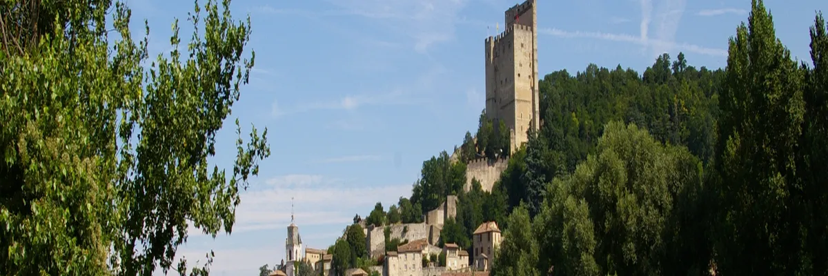 Image Monte escalier Crest